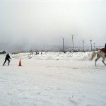 DSCN0146