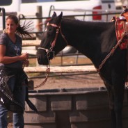 Katie leads her horse to water