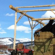 ahhh… the Hay Shed